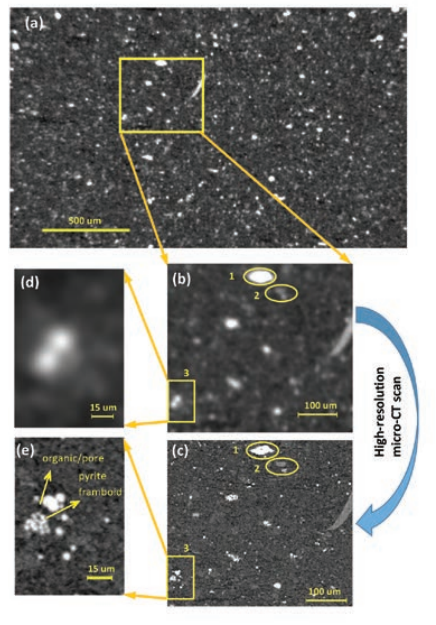 Semnani, Multi-Scale Imaging